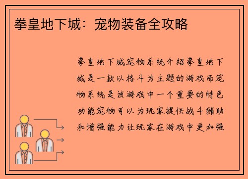 拳皇地下城：宠物装备全攻略
